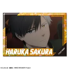 【新品・公式】WIND BREAKER ホログラム缶バッジ デザイン05(桜遥/E) 公式グッズ colleize