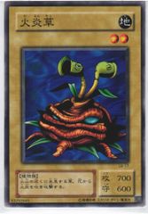 遊戯王 火炎草 ノーマル LB-17