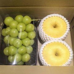 シャインマスカット　はるかりんご　750g〜