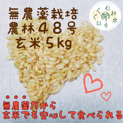 ～命をはぐくむお米～農林48号（玄米5kg）農薬不使用