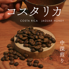 コスタリカ　ジャガー　ハニー　中深煎り　100g