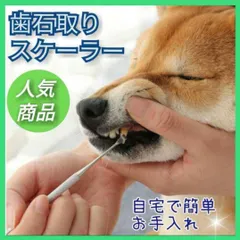 2024年最新】犬 歯石取り 自宅の人気アイテム - メルカリ