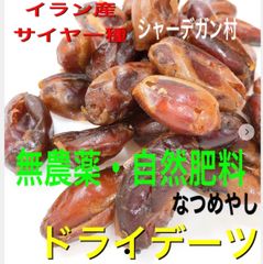 イラン産 サイヤー種デーツ 700g 自然肥料 ドライフルーツ