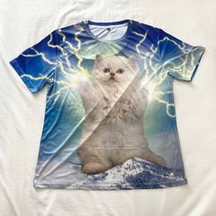 猫神 Ne~shin - メルカリShops 猫神 Ne~shin - メルカリShops