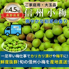 梅シミ出る可能性大10キロ予約収穫可能100サイズ発送郵便郵送