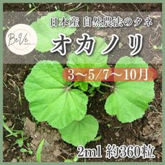 野菜の種 たね タネ オカノリ 固定種 3月 4月 5月 7月 8月 9月 10月 家庭菜園 プランター栽培 ベランダ栽培 ガーデニング 農業 畑 自給自足 自然農法 国産