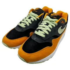 2024年最新】nike air max 1 duck packの人気アイテム - メルカリ