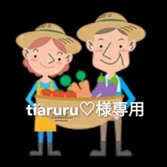 淡路島産新玉ねぎ夢玉 無農薬 高糖度 甘い 香りがいい 淡路島夢玉ファーム