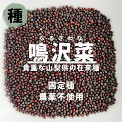 【種】鳴沢菜（なるさわな）　農薬不使用　100粒