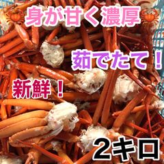 新鮮激ウマ！北海道小樽産！紅ズワイ蟹セクション2キロ送料込み7400円