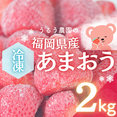 【減農薬】即日冷凍！福岡県産冷凍いちご 2kg