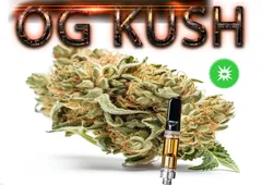 2024年最新】og kushの人気アイテム - メルカリ