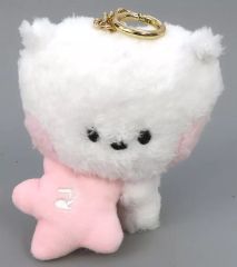[중고] 봉제인형 마스코트 봉제인형 배지 RJ(진) minini 릴 키 체인 [BT21]