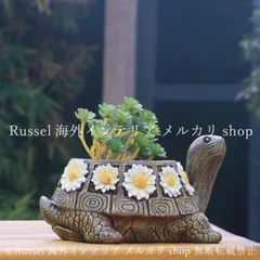 2026年最新】亀の植木鉢の人気アイテム - メルカリ