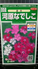 河原 なでしこ 撫子 ダイアンサス 種 ３袋セット