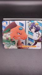 PR  キラ　３種セット（１枚ずつ）