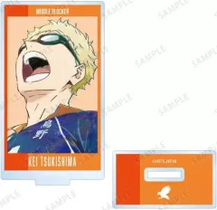 【中古】アクリルスタンド・アクリルパネル 月島蛍 「ハイキュー!! トレーディング Ani-Art 第7弾 アクリルスタンド」