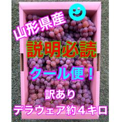 【訳あり】🧊クール便🧊山形県産ぶどう　デラウェア約4キロ