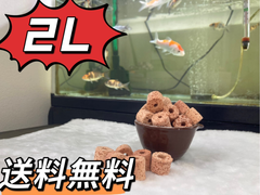 ろ材濾過材水槽フィルター水質浄化抜群高品質多孔溶岩石パワーリング2L