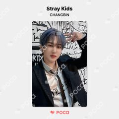 straykids チャンビン スキズ トレカ Stray Kids World Tour dominATE SEOUL POP-UP CAFE SKZOO PIN BUTTON & COVER KEYRING SET 公式 トレカ