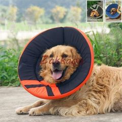 Item thumbnail for item 8886eb6b-548c-47c8-ab08-64ad04061500