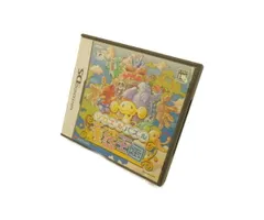 SUCCESS ソロエルパズル童話王国 任天堂 DS ソフト