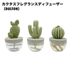 カクタスフレグランスディフューザー(DULTON)