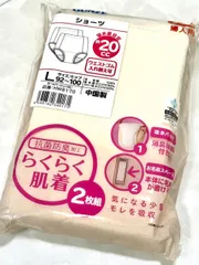 新品 2枚組 グンゼ 失禁対応ショーツ ちょい漏れ安心 レディース L