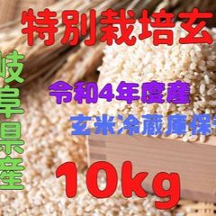 岐阜県特産はつしも玄米10kg（特別栽培米）令和4年度産（農家直販）