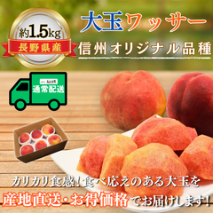 大玉ワッサー〜信州生まれの新食感フルーツ〜【内容量】約1.5kg【配送方法】通常配送【サイズ】L以上【品目】ワッサー【品種】当店お任せ【産地】長野県【規格】ご家庭用A品【販売会社】有限会社青木青果