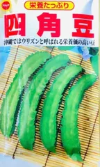 四角豆　しかくまめ　うりずん　　⭐️種10粒⭐️のサムネイル