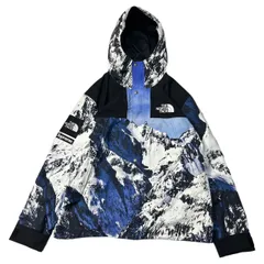 2024年最新】SUPREME(シュプリーム)17AW ×THE NORTH FACE ザノース