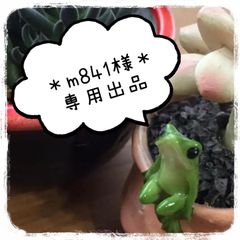 ＊m841様＊専用 1苗