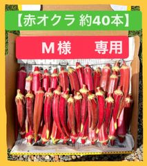 M様専用　ページ