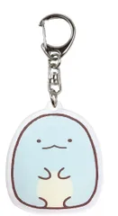 アイプランニング すみっコぐらし アクリルネームタグS とかげ W50×H60×D4mm K9770E