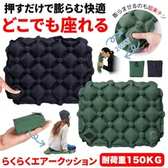 日本武道館 ロゴ入り 折りたたみ 観戦 コンサート シートクッション 2