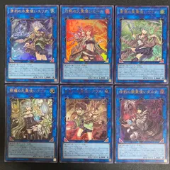 BF0221_2 霊使い リンク　ウルトラ ６枚セット