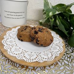 珈琲チョコチップスコーン