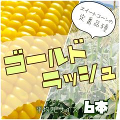 【予約注文】定番品種"ゴールドラッシュ"６本【常温発送】