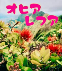 ハワイ　山の女神　ペレ　ポスター　額縁付き ハワイ山の女神ペレポスター額縁付き