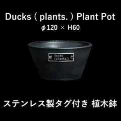Ducks plants ステンレスタグ付き鉢 植木鉢 φ120×H60 鉢 鉢植え プラントポット