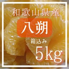 八朔 はっさく 箱込み5㎏ 和歌山
