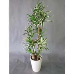 斑入りドラセナ　造花観葉植物　高さ約90cm幅約40cm　リビングやオフィスにピッタリの観葉植物　開店祝い　新築祝い