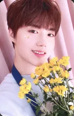 【中古】コレクションカード(男性) TREASURE/ドヨン(DOYOUNG)/裏面白/「BLOOMING TREASURE」PHOTO WELCOME BOOK封入フォトカード