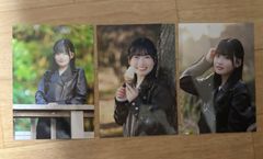 AKB48 17研究所　ランダム　プロマイド　生写真　布袋百椛　3種　コンプ