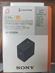 2025年最新】NP-FV100Aの人気アイテム - メルカリ