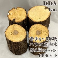 【DDA】希少4～5年物 ハウス産卵木 柔A材(50～80N) 4本セット dda クワガタ 産卵木 クヌギ コナラ