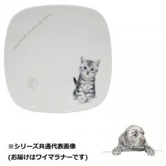 ひろろ様専用プレコシェルター WSM ホワイトサブマリン 2個セット