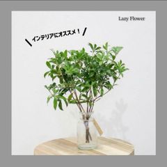 フラワーベース 込み アセビ 枝物 インテリア 装飾 生花 馬酔木 オシャレ 枝 フラワーベース 込み アセビ 枝物 インテリア 装飾 生花 馬酔木