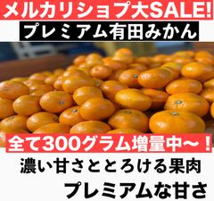 プレミアム有田みかん　1キロ